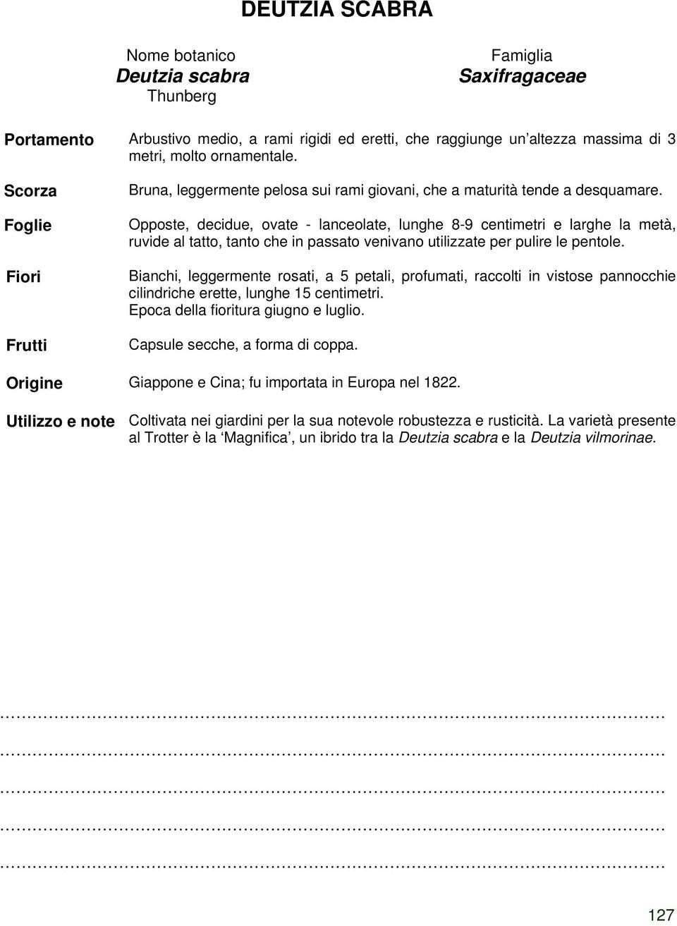 Opposte, decidue, ovate - lanceolate, lunghe 8-9 centimetri e larghe la metà, ruvide al tatto, tanto che in passato venivano utilizzate per pulire le pentole.