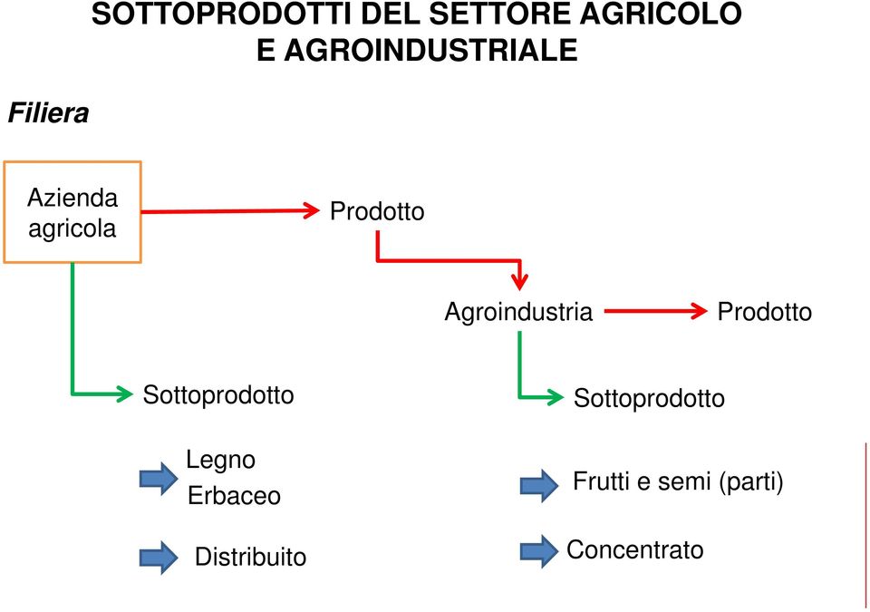 Agroindustria Prodotto Sottoprodotto Legno