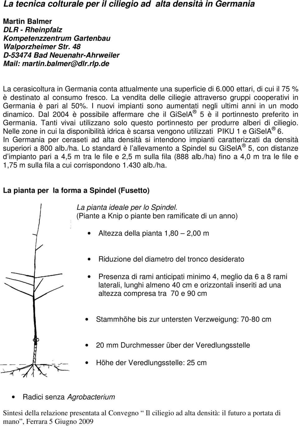 La vendita delle ciliegie attraverso gruppi cooperativi in Germania è pari al 50%. I nuovi impianti sono aumentati negli ultimi anni in un modo dinamico.