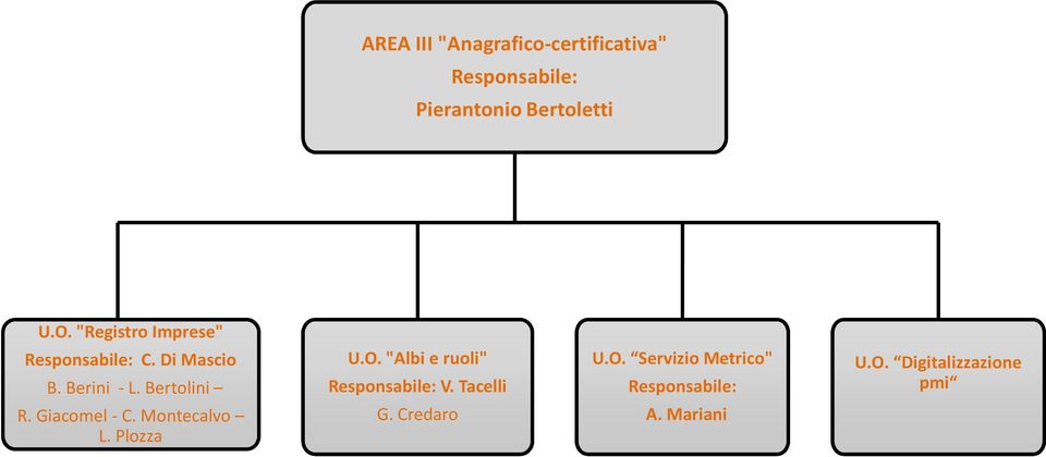 "Albi e ruoli" Responsabile: V. Tacelli U.O. Servizio Metrico" Responsabile: U.