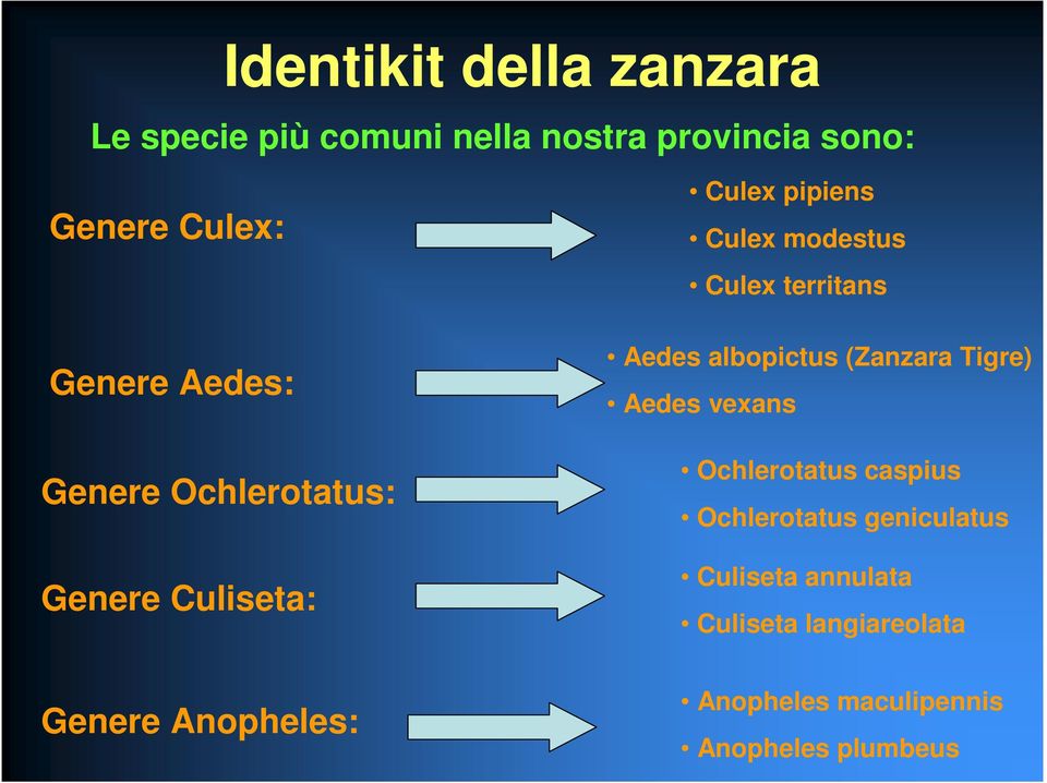 Culex territans Aedes albopictus (Zanzara Tigre) Aedes vexans Ochlerotatus caspius