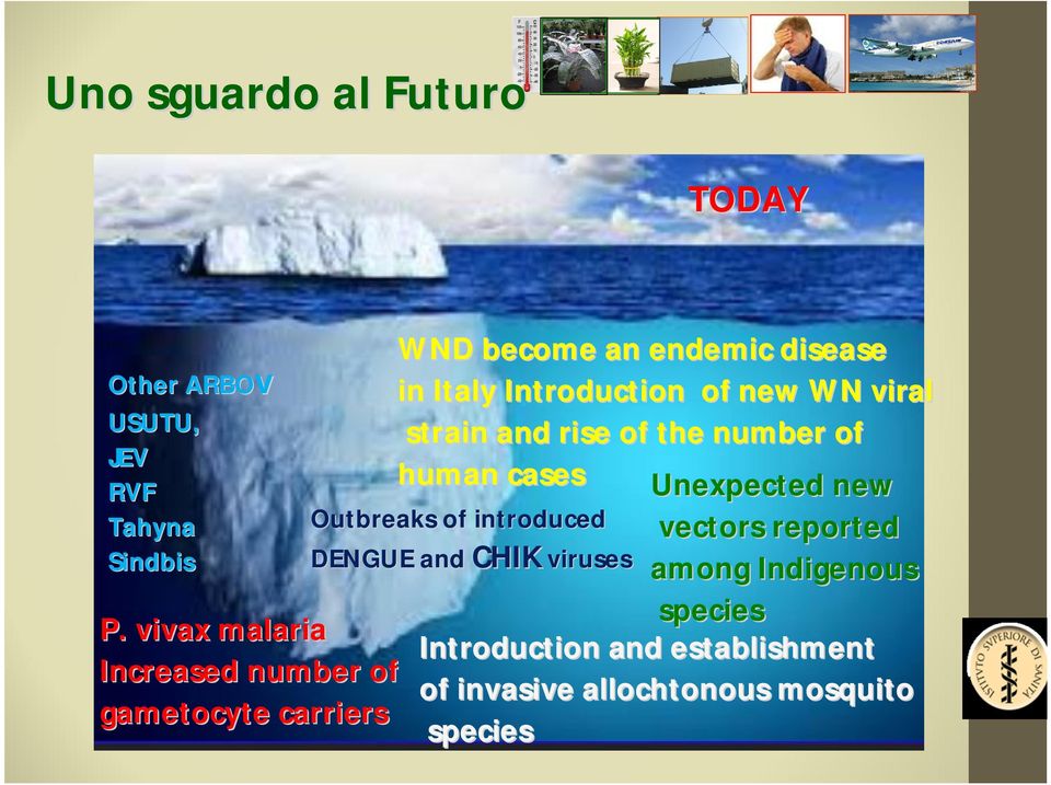 introduced vectors reported Sindbis DENGUE and CHIK viruses among Indigenous species P.