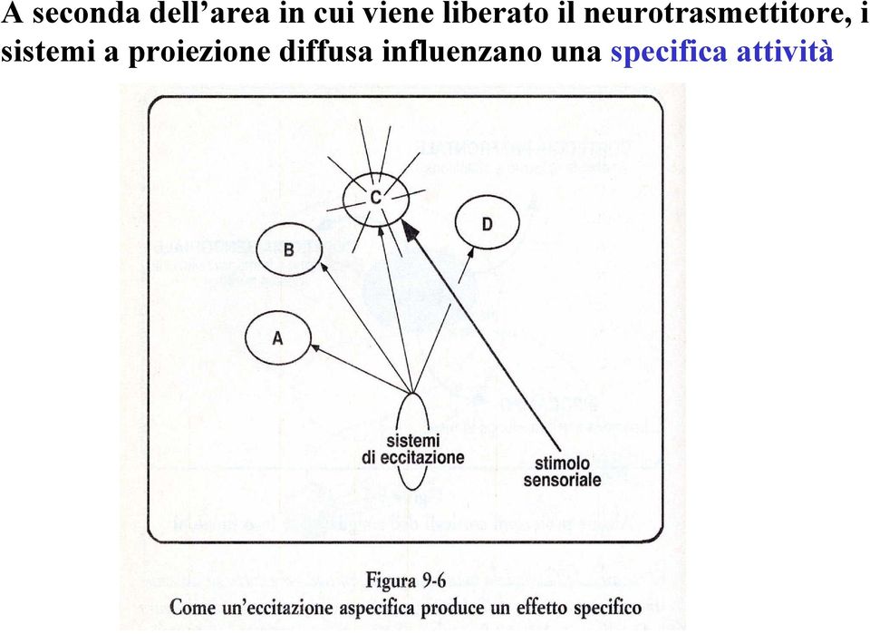 i sistemi a proiezione diffusa