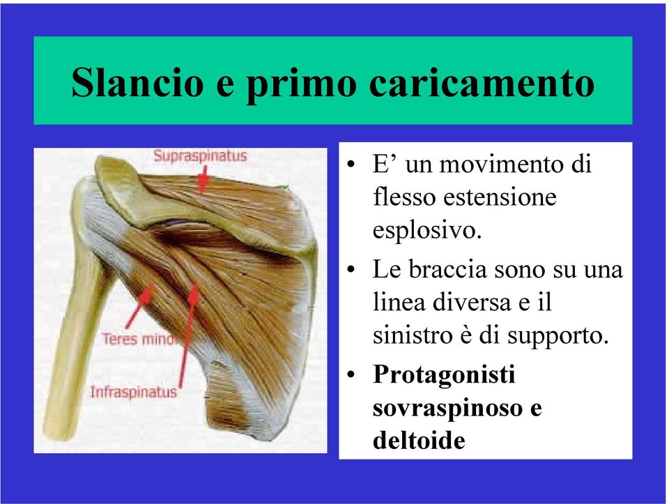 Le braccia sono su una linea diversa e il