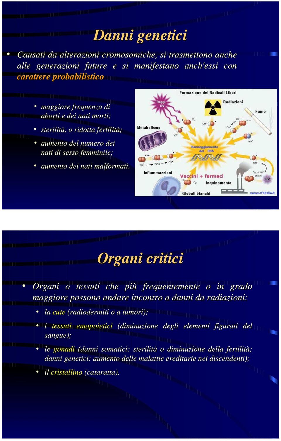 Organi critici Organi o tessuti che più frequentemente o in grado maggiore possono andare incontro a danni da radiazioni: la cute (radiodermiti o a tumori); i tessuti