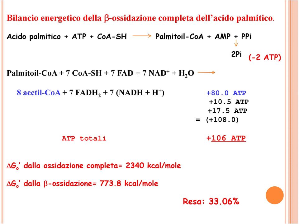 FAD + 7 NAD + + H 2 O 8 acetil-coa + 7 FADH 2 + 7 (NADH + H + ) +80.0 ATP +10.5 ATP +17.