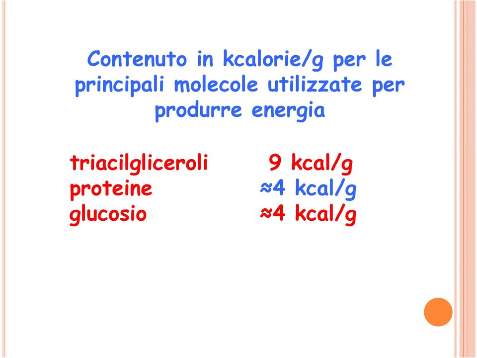 produrre energia triacilgliceroli