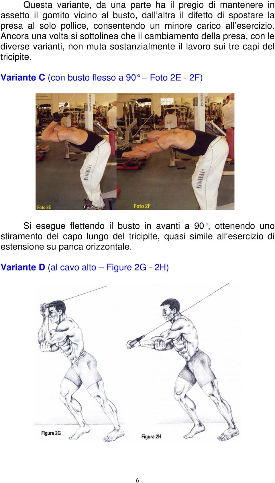 Ancora una volta si sottolinea che il cambiamento della presa, con le diverse varianti, non muta sostanzialmente il lavoro sui tre capi del tricipite.