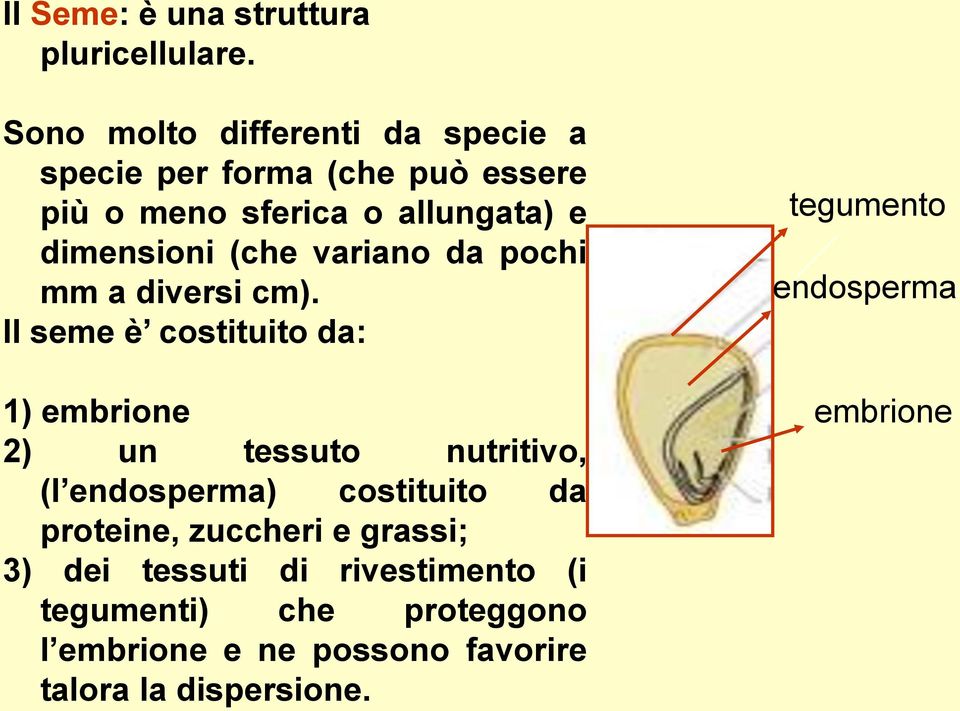 (che variano da pochi mm a diversi cm).