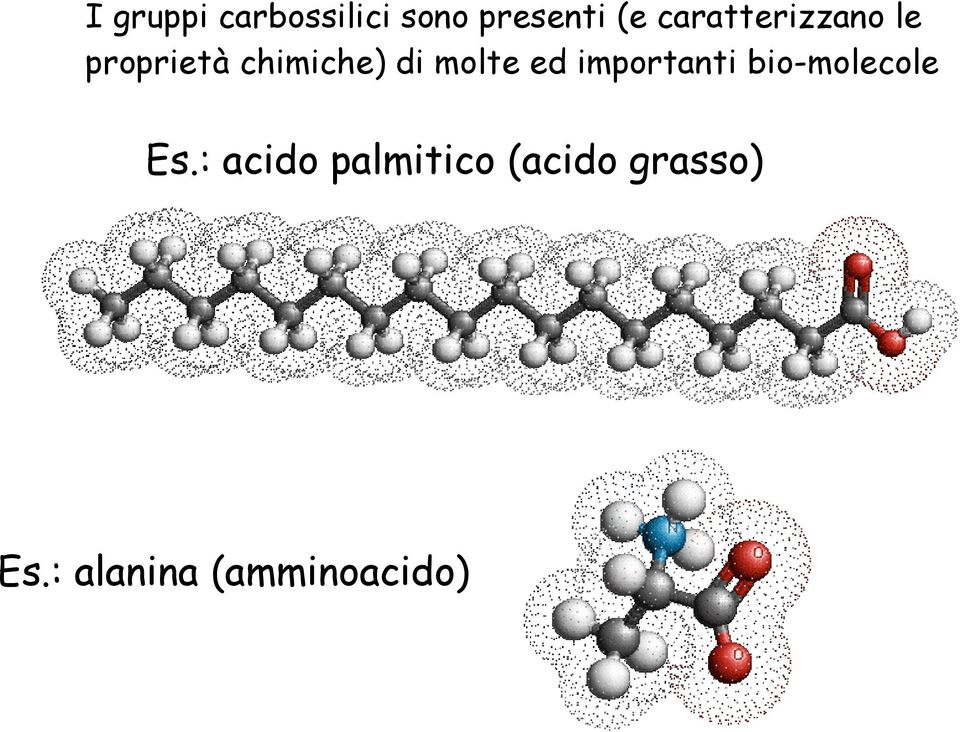 molte ed importanti bio-molecole Es.