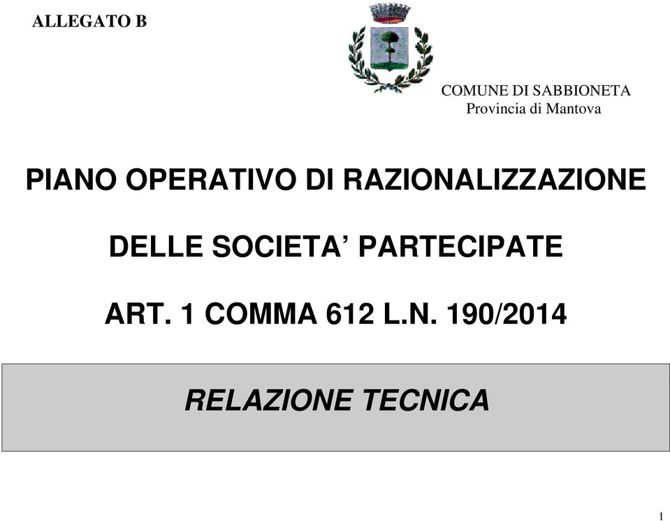 RAZIONALIZZAZIONE DELLE SOCIETA