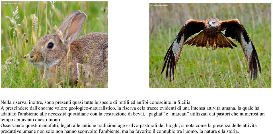 necessità quotidiane con la costruzione di bevai, pagliai e marcati utilizzati dai pastori che numerosi un tempo abitavano questi monti.