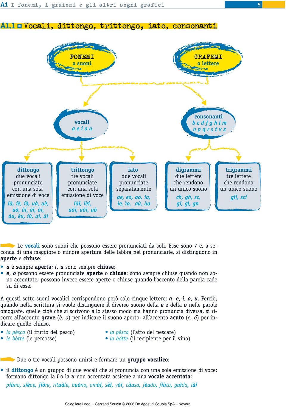 voce ià, iè, iò, uà, uè, uò, ài, èi, òi, àu, èu, iù, uì, ùi trittongo tre vocali pronunciate con una sola emissione di voce iài, ièi, uài, uòi, uò iato due vocali pronunciate separatamente ae, eo,