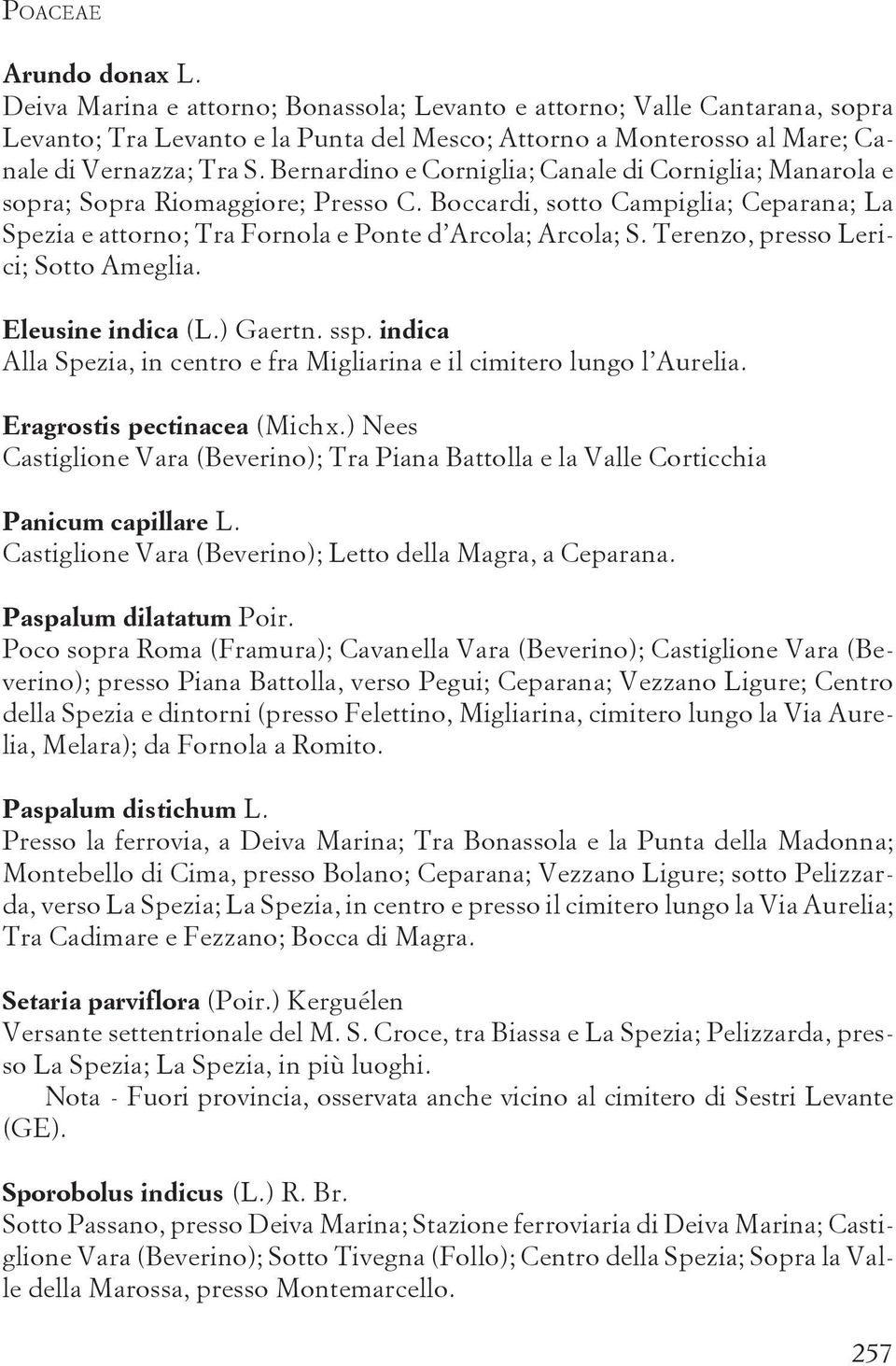 Terenzo, presso Lerici; Sotto Ameglia. Eleusine indica (L.) Gaertn. ssp. indica Alla Spezia, in centro e fra Migliarina e il cimitero lungo l Aurelia. Eragrostis pectinacea (Michx.