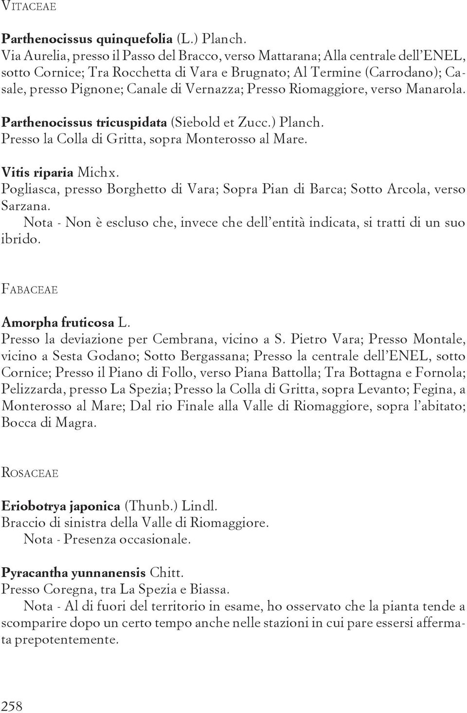 Presso Riomaggiore, verso Manarola. Parthenocissus tricuspidata (Siebold et Zucc.) Planch. Presso la Colla di Gritta, sopra Monterosso al Mare. Vitis riparia Michx.