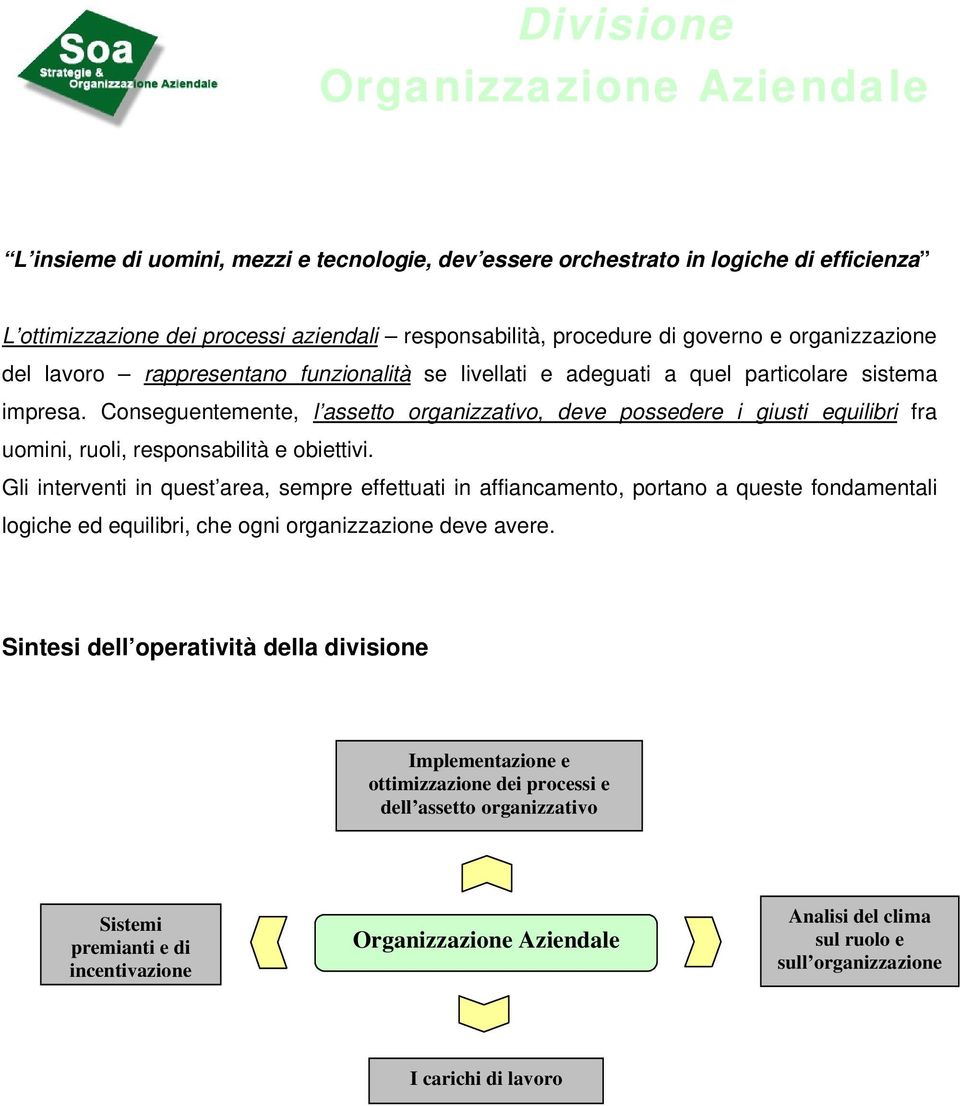 Conseguentemente, l assetto organizzativo, deve possedere i giusti equilibri fra uomini, ruoli, responsabilità e obiettivi.