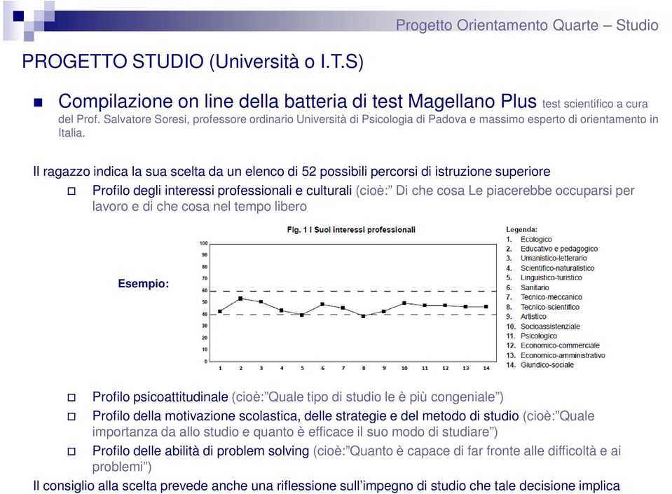 Il ragazzo indica la sua scelta da un elenco di 52 possibili percorsi di istruzione superiore Profilo degli interessi professionali e culturali (cioè: Di che cosa Le piacerebbe occuparsi per lavoro e