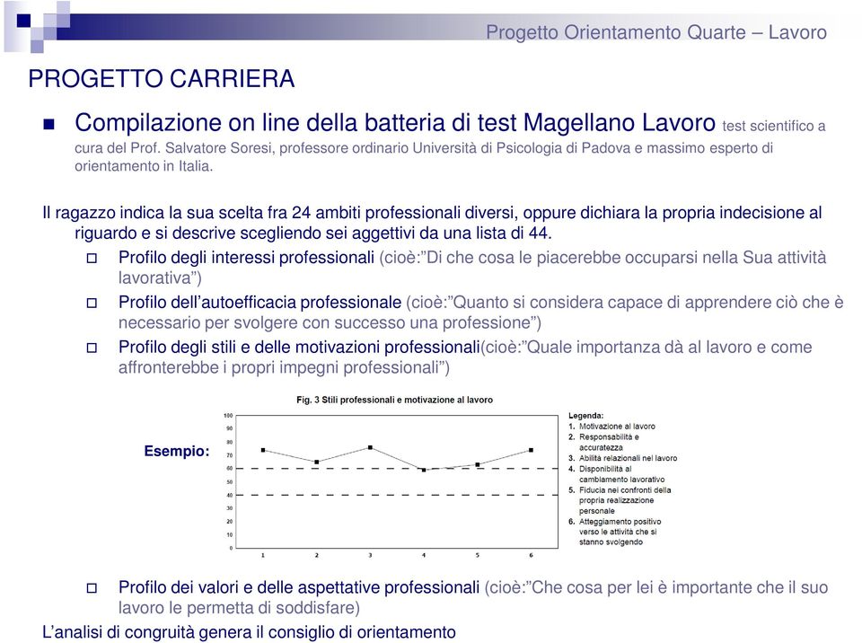 Il ragazzo indica la sua scelta fra 24 ambiti professionali diversi, oppure dichiara la propria indecisione al riguardo e si descrive scegliendo sei aggettivi da una lista di 44.