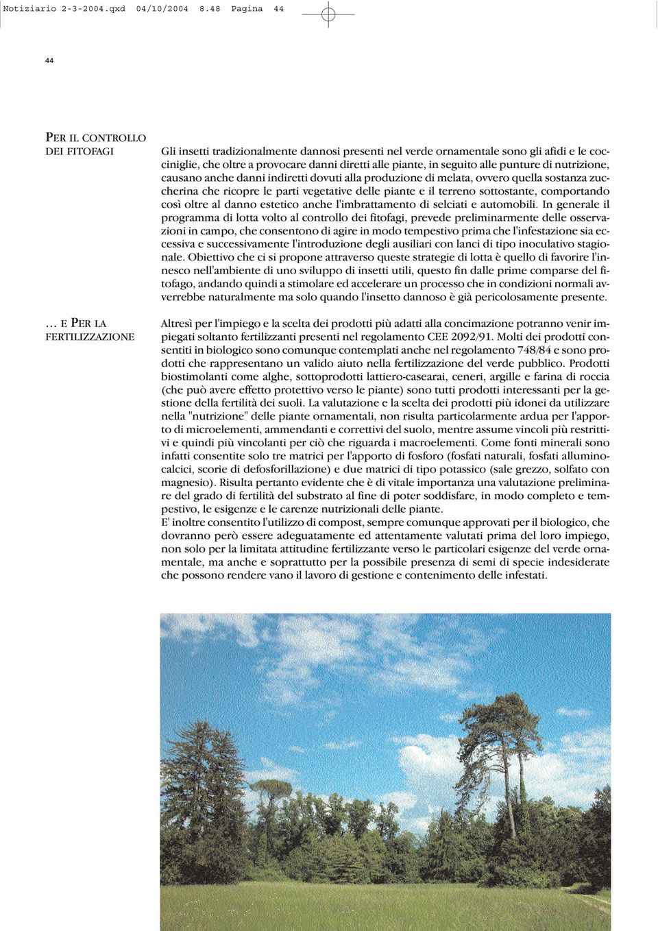 punture di nutrizione, causano anche danni indiretti dovuti alla produzione di melata, ovvero quella sostanza zuccherina che ricopre le parti vegetative delle piante e il terreno sottostante,