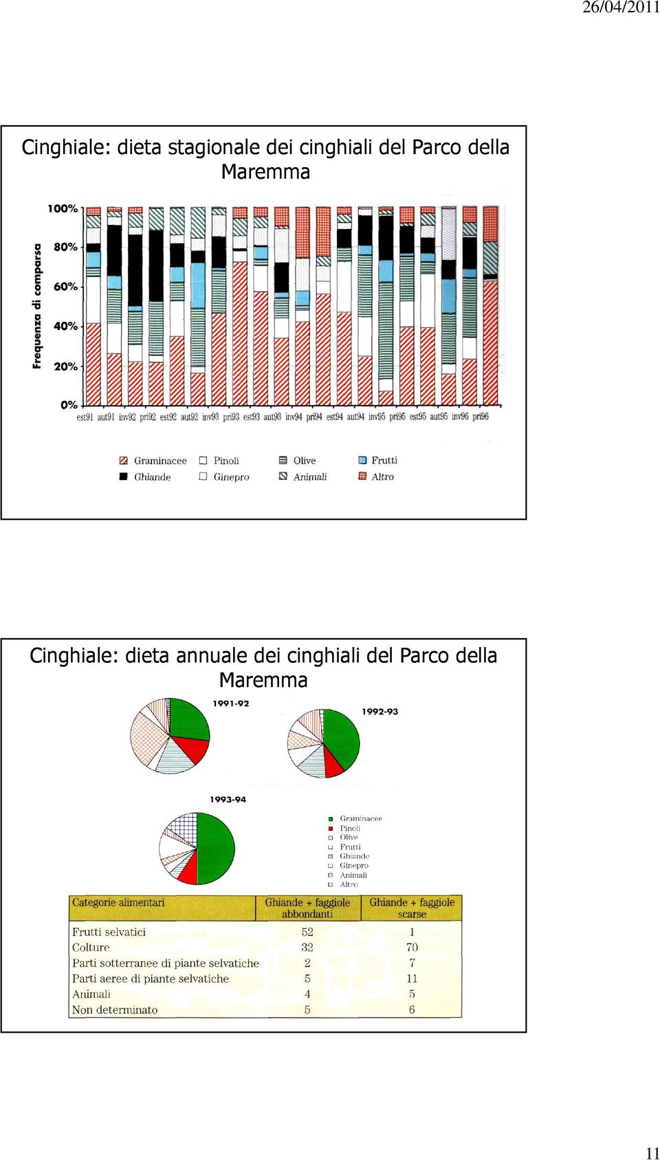 Cinghiale: dieta annuale dei cinghiali 