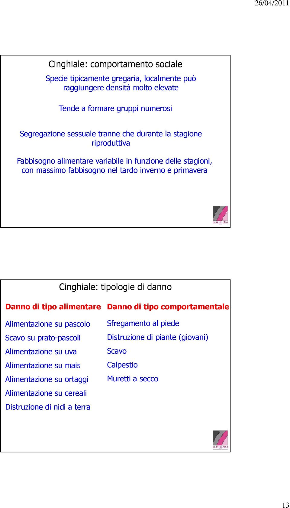 Cinghiale: tipologie di danno Danno di tipo alimentare Danno di tipo comportamentale Alimentazione su pascolo Scavo su prato-pascoli Alimentazione su uva