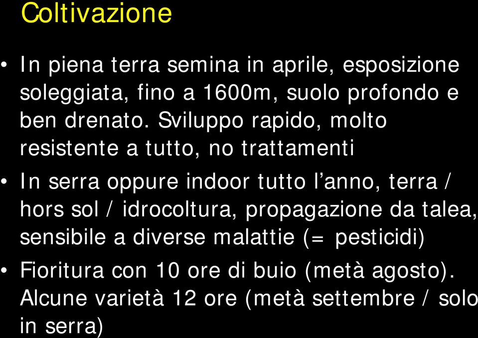 Sviluppo rapido, molto resistente a tutto, no trattamenti In serra oppure indoor tutto l anno, terra