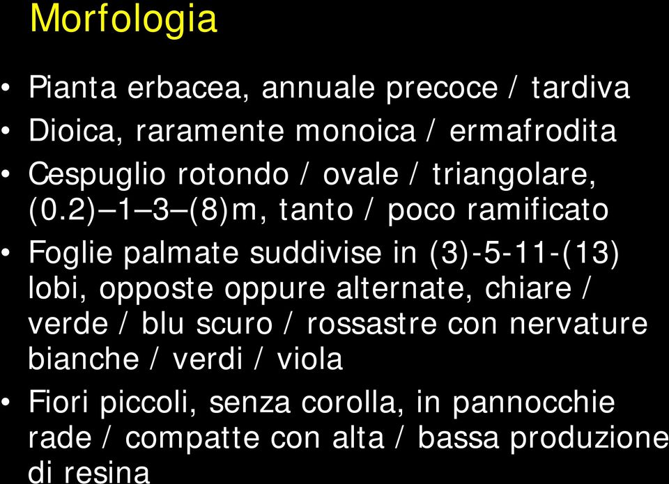 2) 1 3 (8)m, tanto / poco ramificato Foglie palmate suddivise in (3)-5-11-(13) lobi, opposte oppure