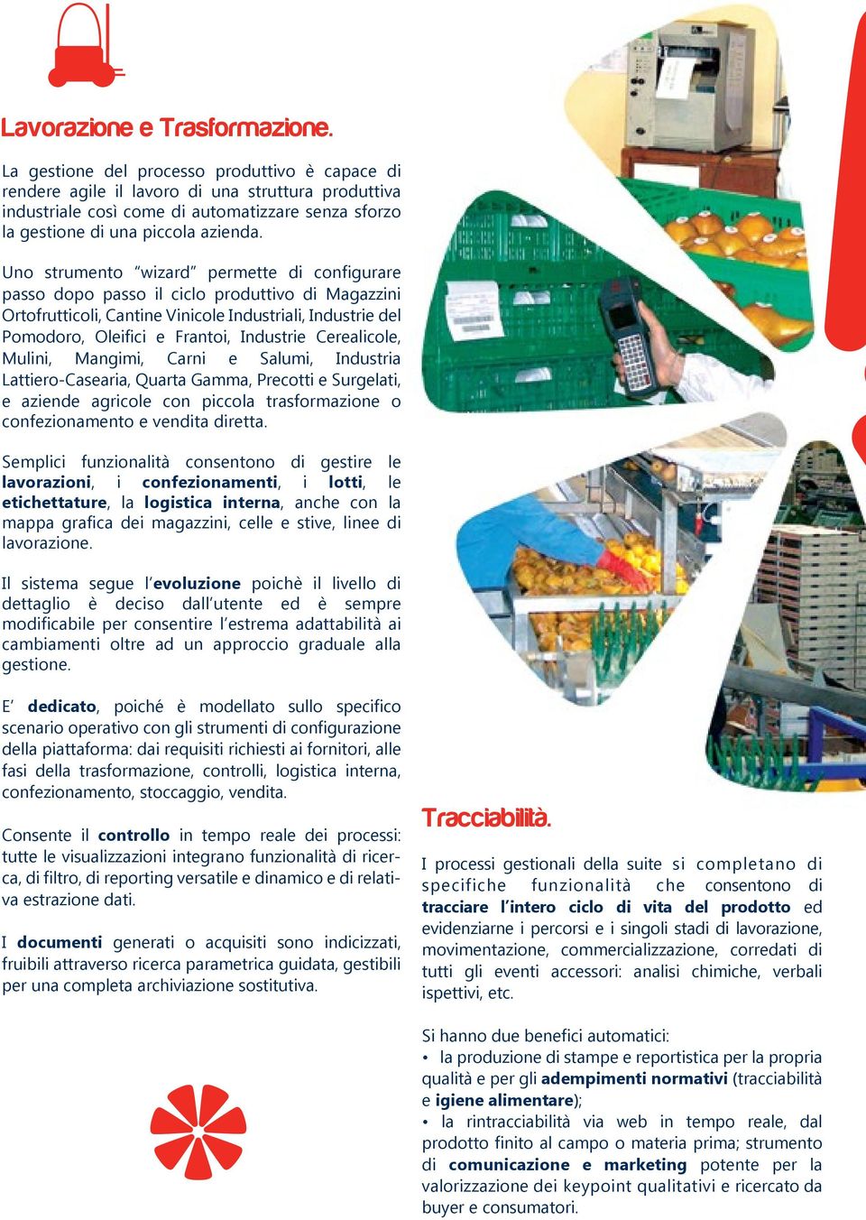 Uno strumento wizard permette di configurare passo dopo passo il ciclo produttivo di Magazzini Ortofrutticoli, Cantine Vinicole Industriali, Industrie del Pomodoro, Oleifici e Frantoi, Industrie