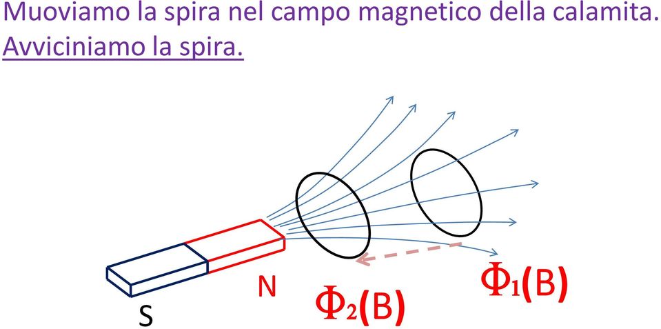 calamita.