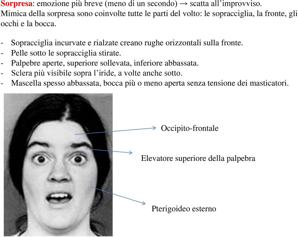 - Sopracciglia incurvate e rialzate creano rughe orizzontali sulla fronte. - Pelle sotto le sopracciglia stirate.