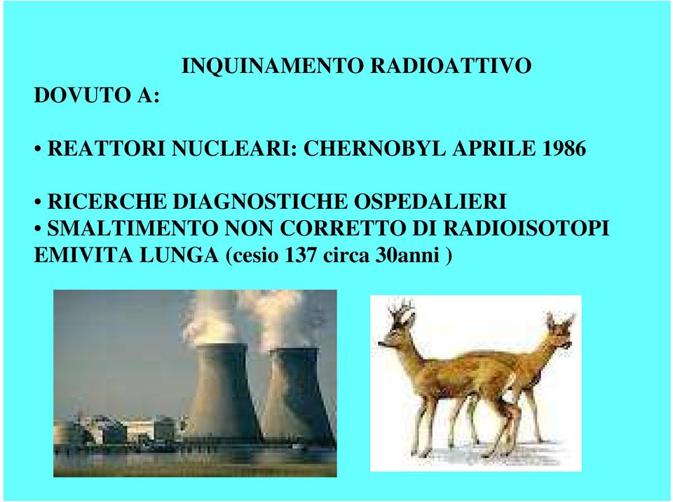 DIAGNOSTICHE OSPEDALIERI SMALTIMENTO NON