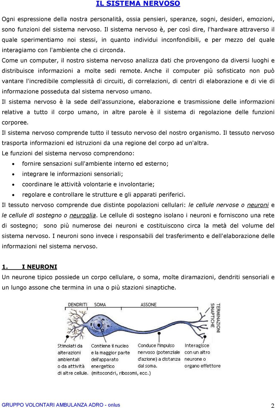 Come un computer, il nostro sistema nervoso analizza dati che provengono da diversi luoghi e distribuisce informazioni a molte sedi remote.