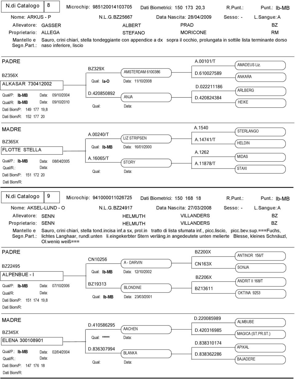 RM BZ356X ALKASAR 730412002 Qual/P: Ib-MB 09/10/2004 Ib-MB 09/10/2010 Dati Biom/P: 149 177 19,8 BZ329X Ia-O AMSTERDAM 6100386 11/10/2008 D.420850892 ANJA A.00101/T D.610027589 D.022211186 D.