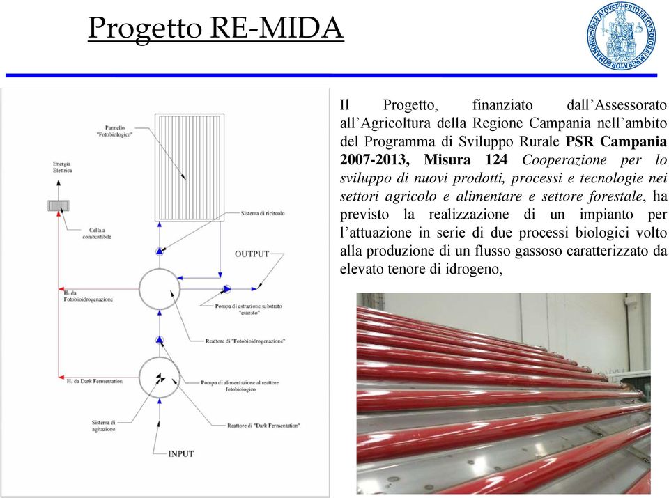 e tecnologie nei settori agricolo e alimentare e settore forestale, ha previsto la realizzazione di un impianto per l