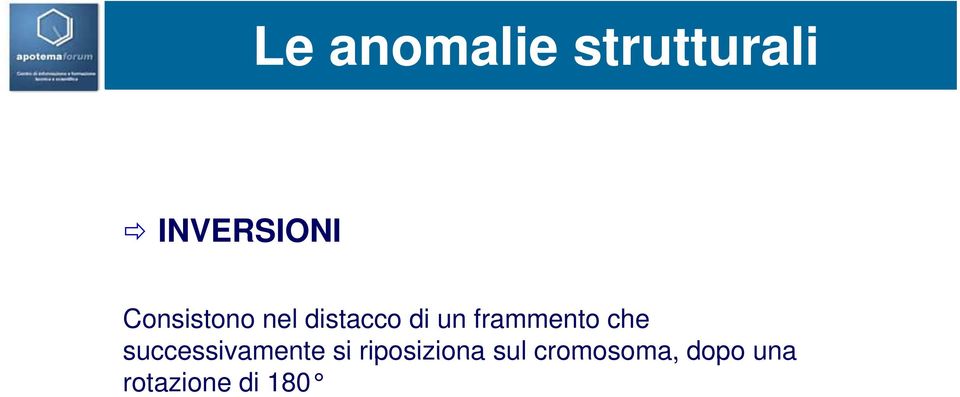 frammento che successivamente si