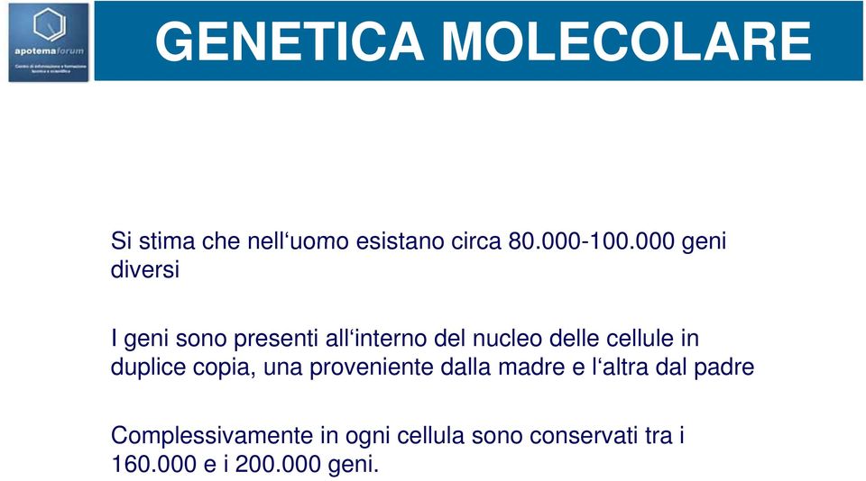 delle cellule in duplice copia, una proveniente dalla madre e l altra dal