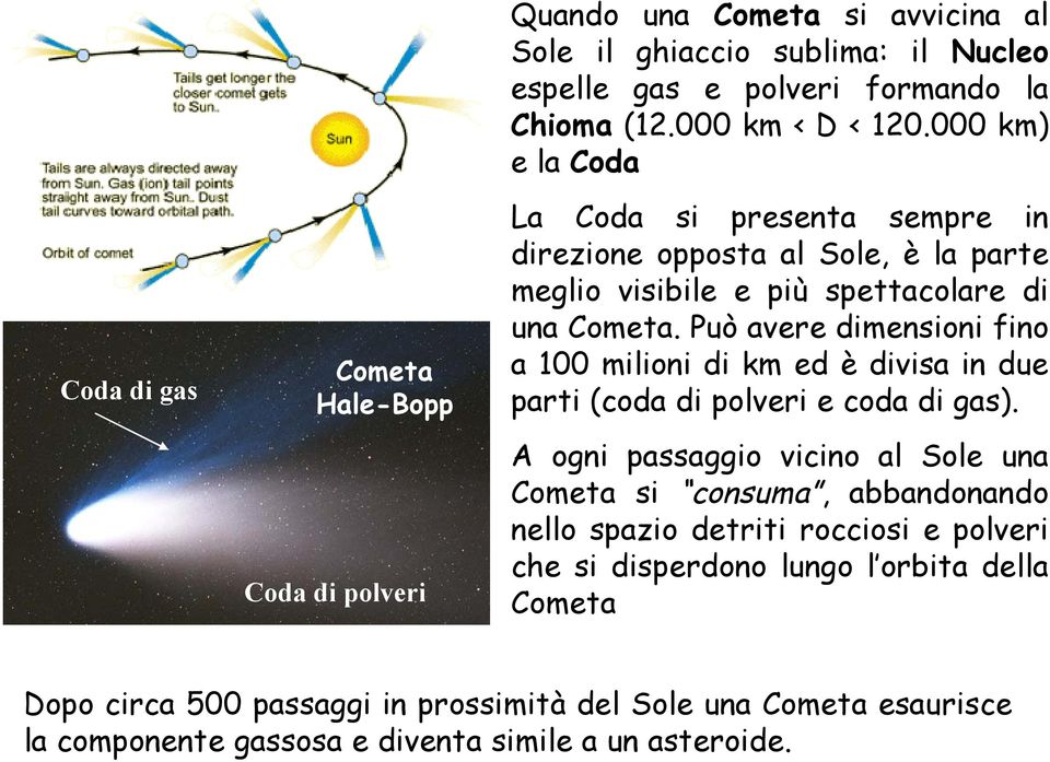 Può avere dimensioni fino a 100 milioni di km ed è divisa in due parti (coda di polveri e coda di gas).