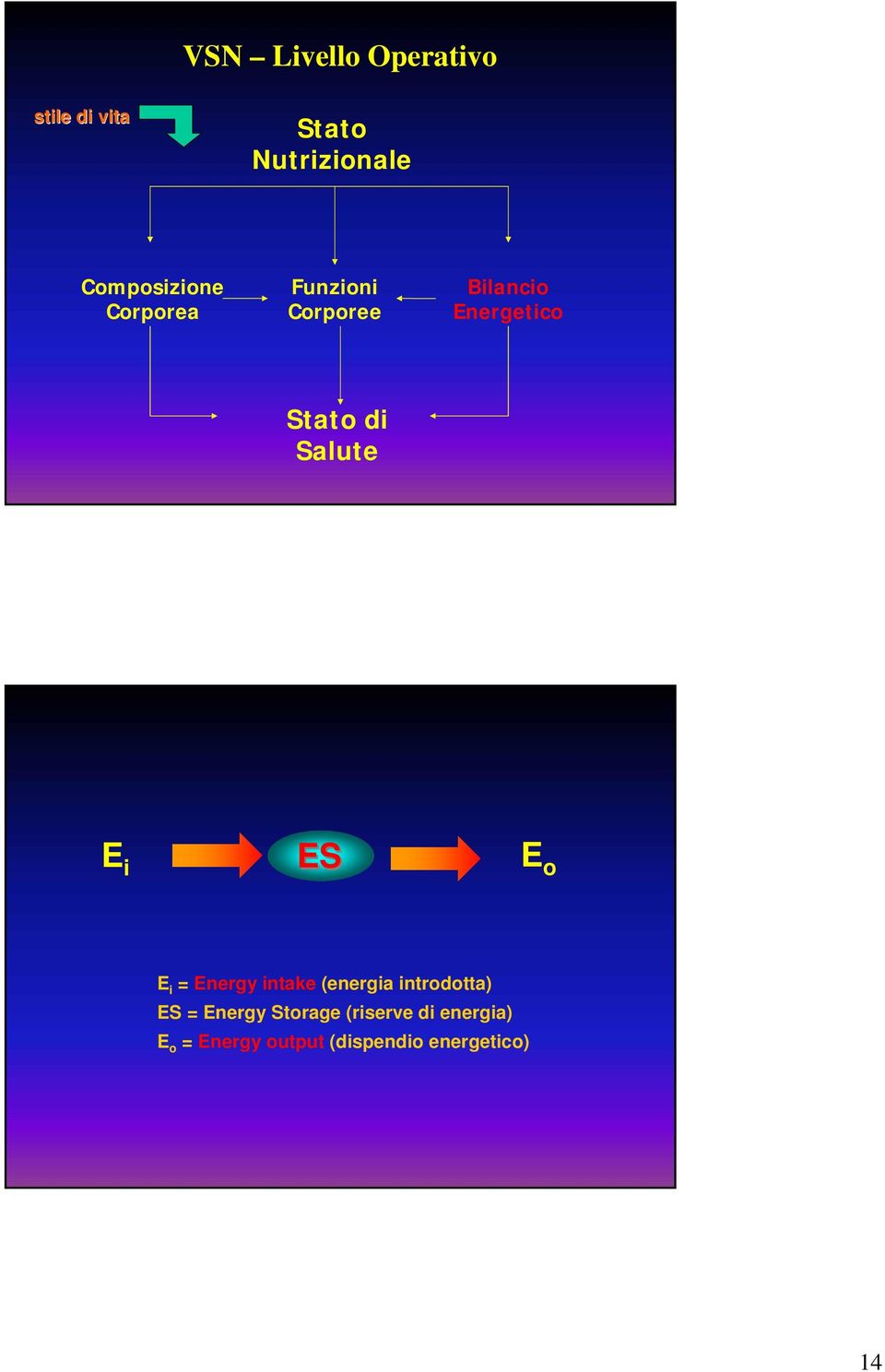 ES E o E i = Energy intake (energia introdotta) ES = Energy Storage