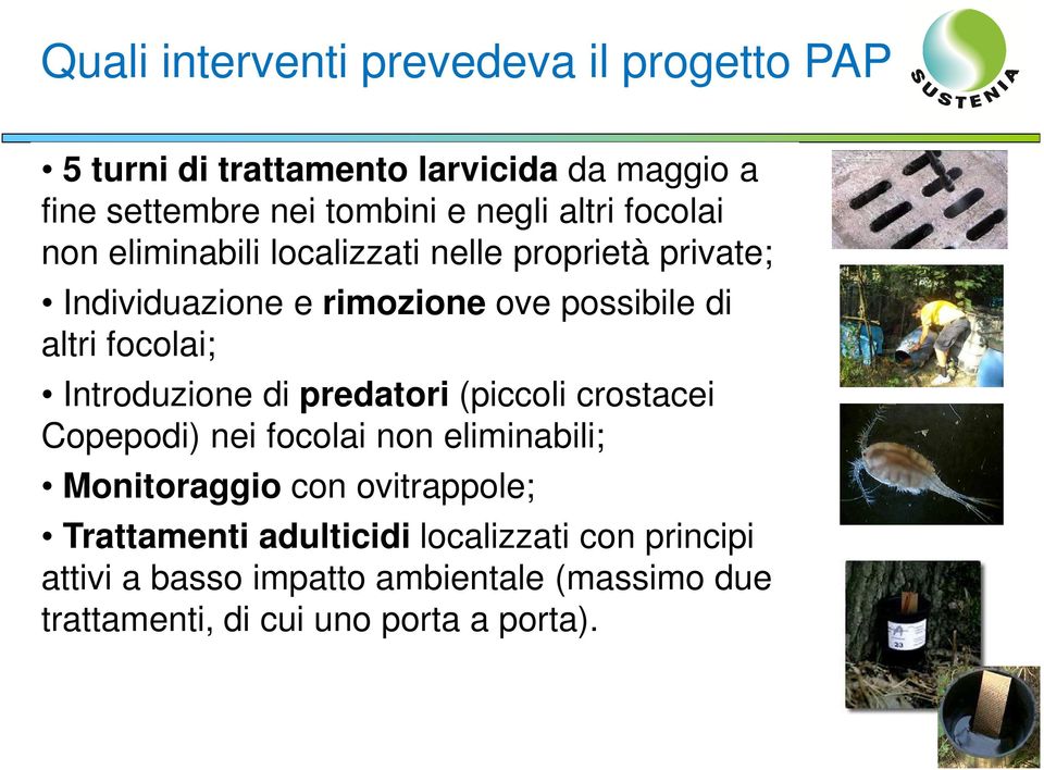 focolai; Introduzione di predatori (piccoli crostacei Copepodi) nei focolai non eliminabili; Monitoraggio con ovitrappole;