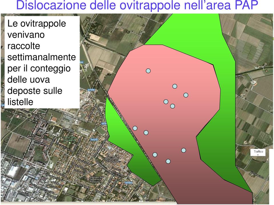 raccolte settimanalmente per il