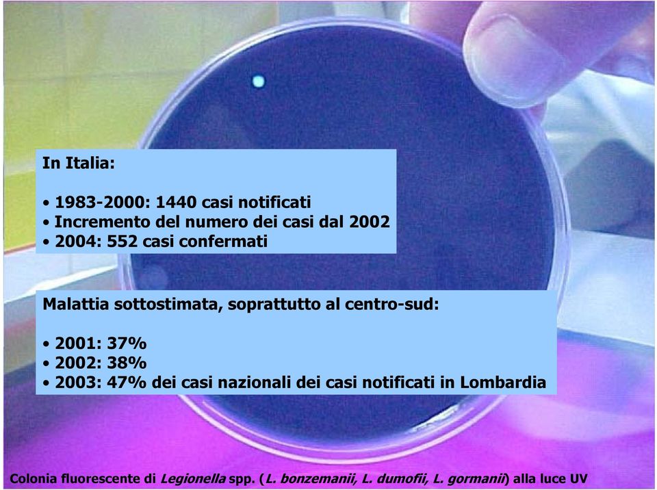 37% 2002: 38% 2003: 47% dei casi nazionali dei casi notificati in Lombardia Colonia