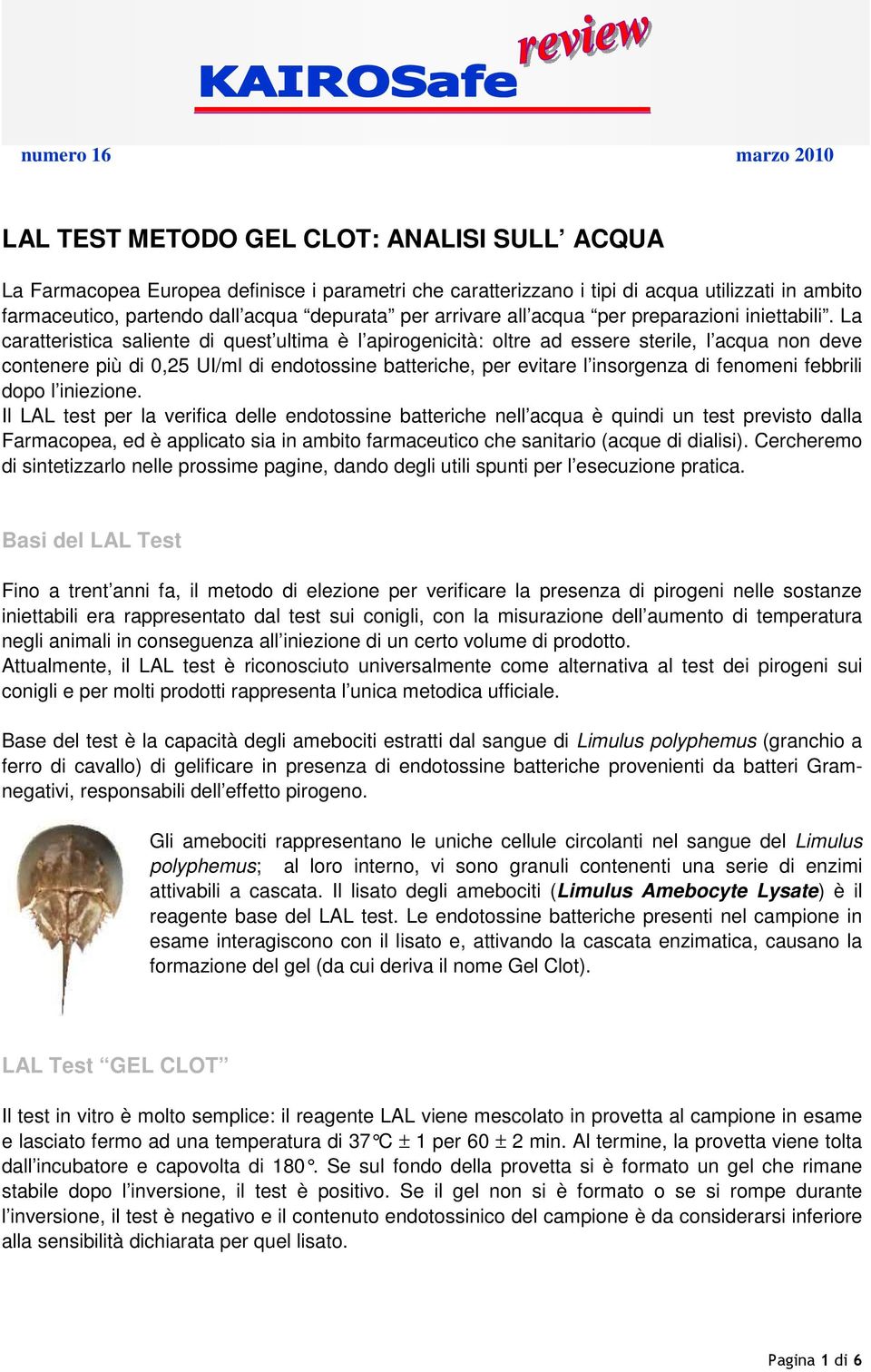 La caratteristica saliente di quest ultima è l apirogenicità: oltre ad essere sterile, l acqua non deve contenere più di 0,25 UI/ml di endotossine batteriche, per evitare l insorgenza di fenomeni