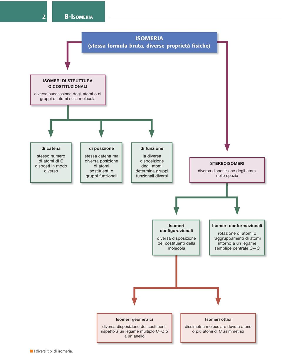 funzionali diversi STEREOISOMERI diversa disposizione degli atomi nello spazio Isomeri configurazionali diversa disposizione dei costituenti della molecola Isomeri conformazionali rotazione di atomi