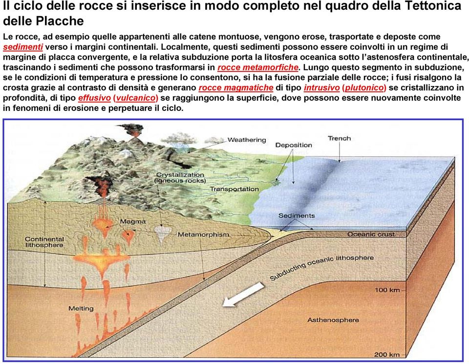 Localmente, questi sedimenti possono essere coinvolti in un regime di margine di placca convergente, e la relativa subduzione porta la litosfera oceanica sotto l astenosfera continentale, trascinando