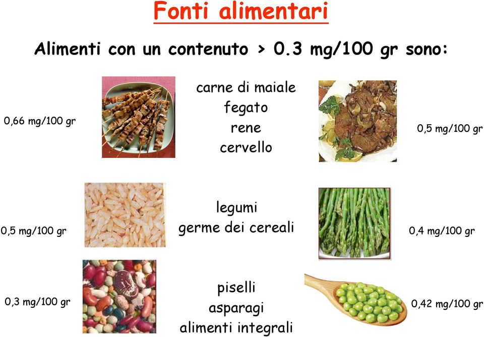 carne di maiale fegato rene cervello legumi germe dei cereali