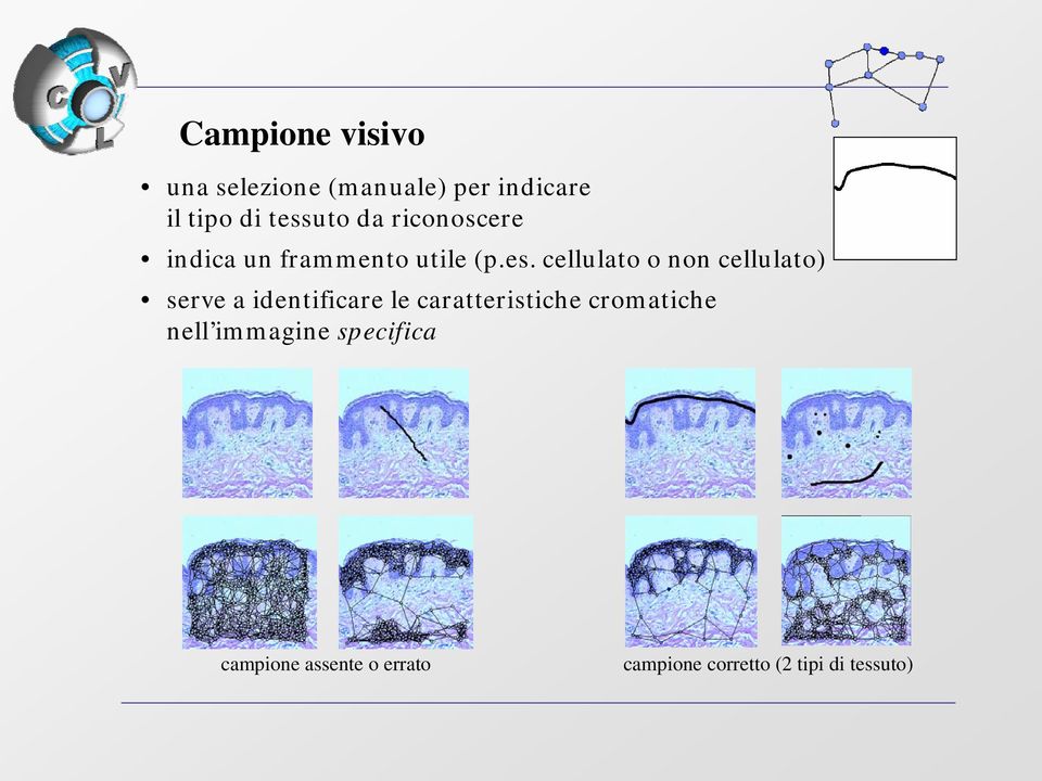 cellulato o non cellulato) serve a identificare le caratteristiche