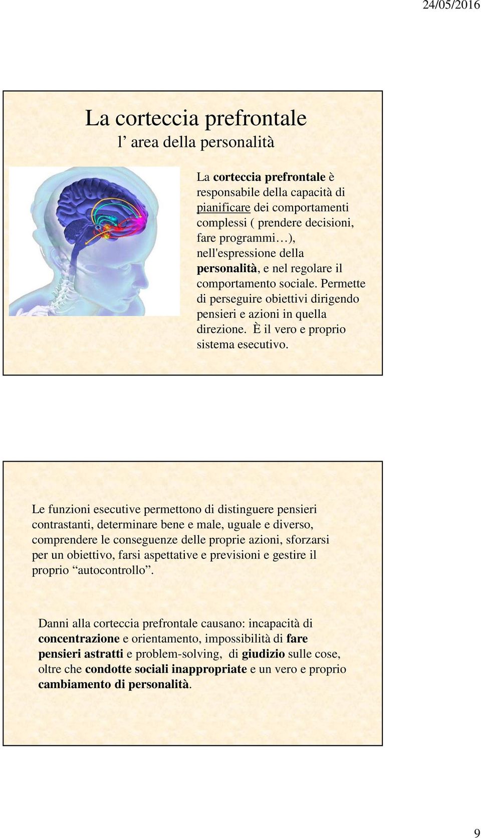 Le funzioni esecutive permettono di distinguere pensieri contrastanti, determinare bene e male, uguale e diverso, comprendere le conseguenze delle proprie azioni, sforzarsi per un obiettivo, farsi