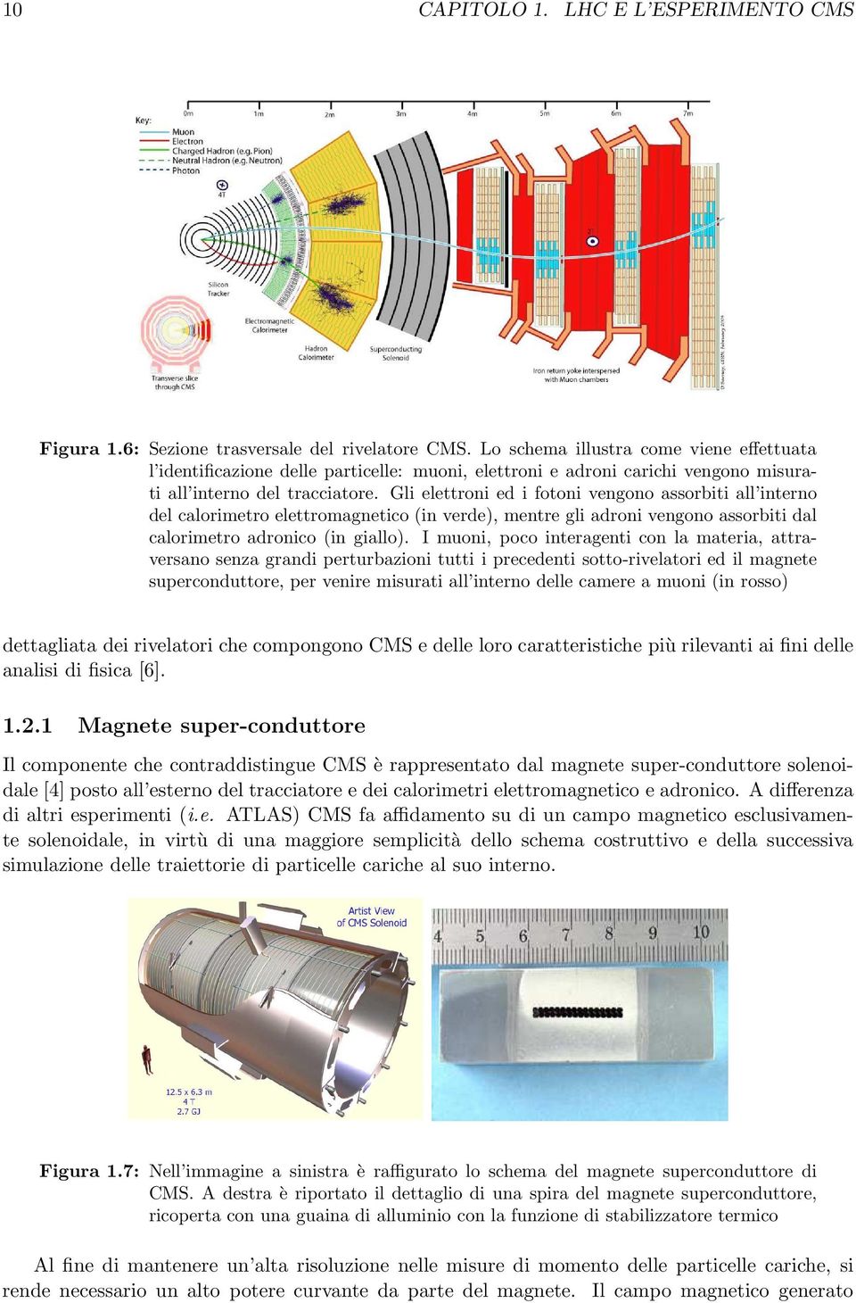 Gli elettroni ed i fotoni vengono assorbiti all interno del calorimetro elettromagnetico (in verde, mentre gli adroni vengono assorbiti dal calorimetro adronico (in giallo.