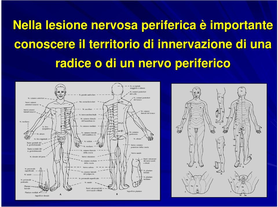 conoscere il territorio di