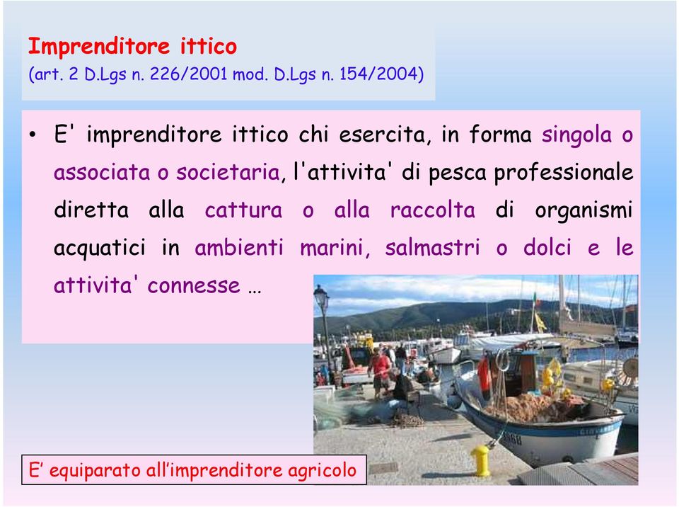 154/2004) E' imprenditore ittico chi esercita, in forma singola o associata o